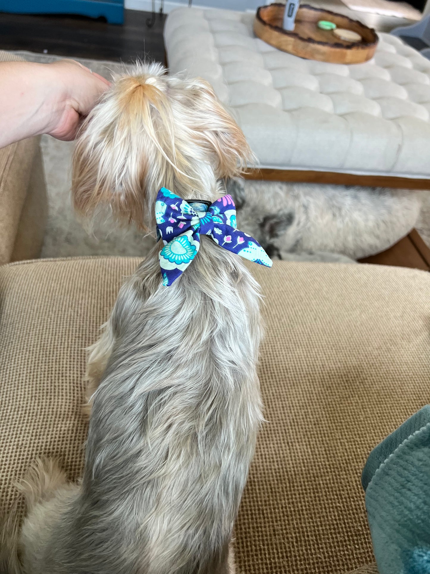 Ready Made | Bow | XS