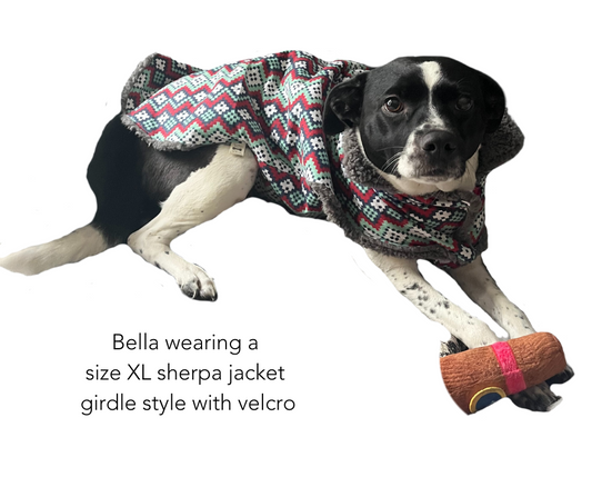 Sherpa Lined Jacket | Fall Collection