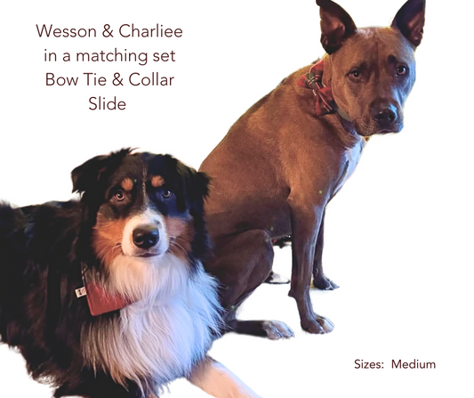 Pet Bow Tie | Classic Plaid | Flannel