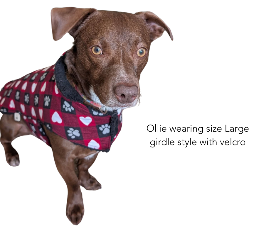 Sherpa Lined Jacket | Plaid Collection