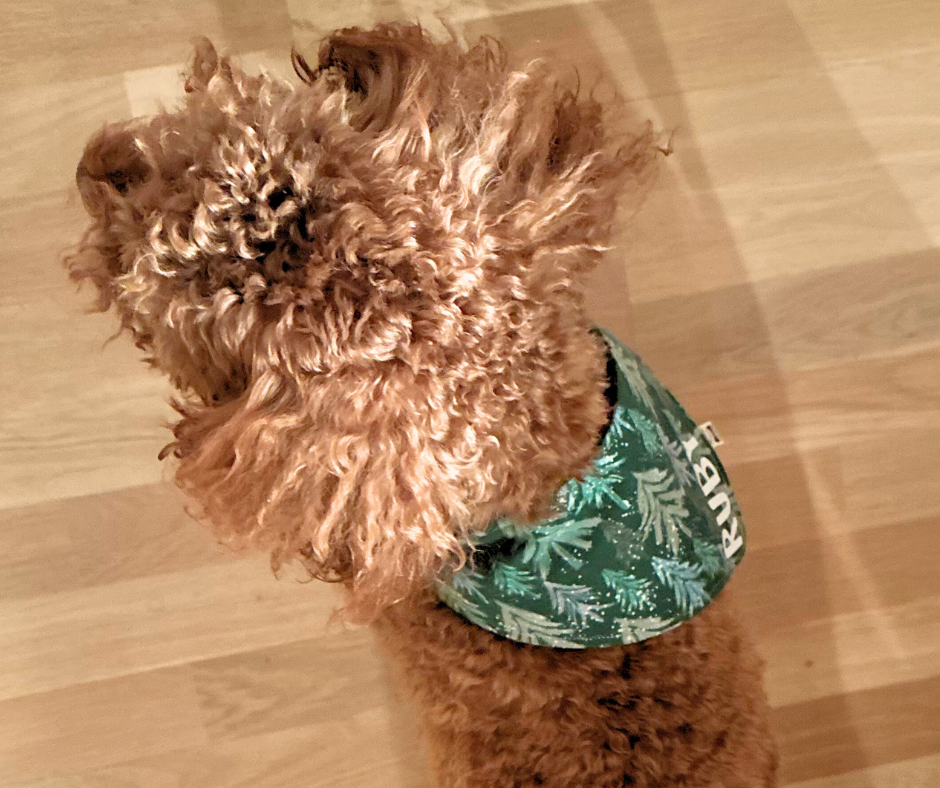 Snap Bandanna | Winter Collection | Flannel Fabric