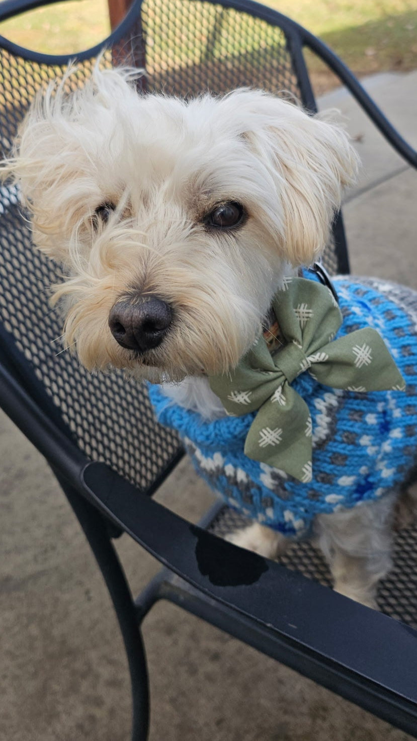 Pet Bow | Winter Collection | Flannel