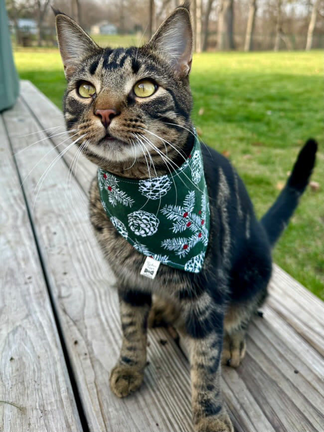 Snap Bandanna | Pattern Collection | Flannel Fabric