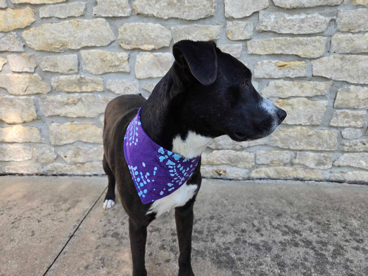 Adjustable Snap Bandanna | Cotton Selection