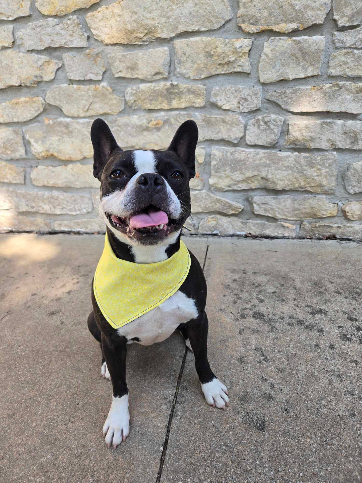 Adjustable Snap Bandanna | Cotton Selection