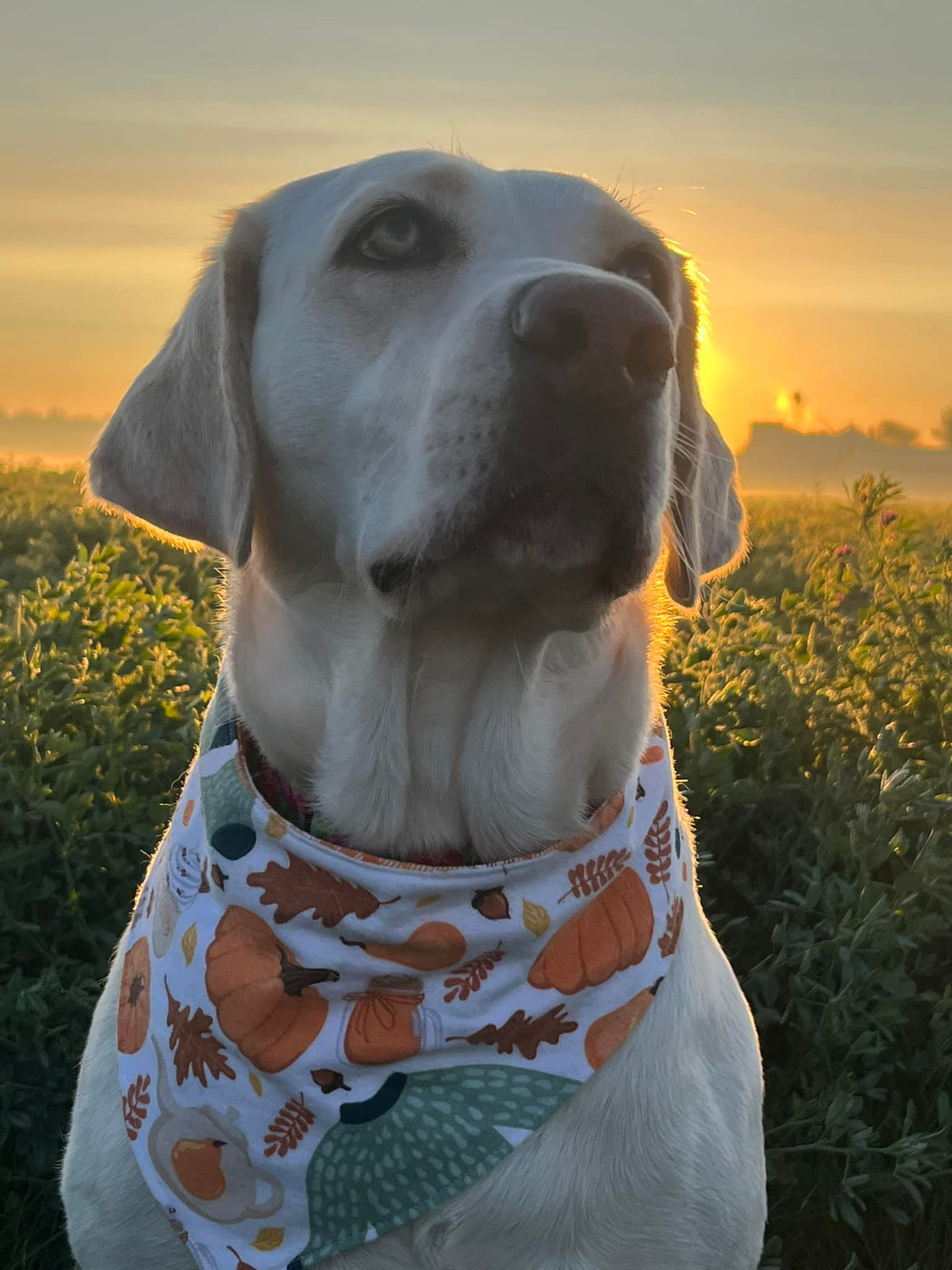 Snap Bandanna | Fall Collection | Flannel Fabric