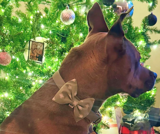 Pet Bow Tie | Cotton Selection
