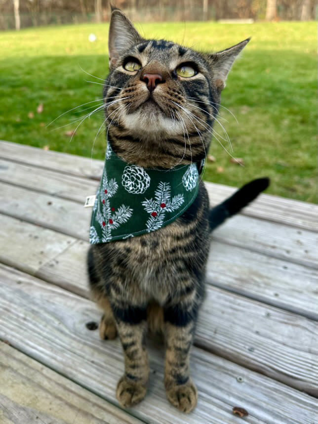 Snap Bandanna | Pattern Collection | Flannel Fabric