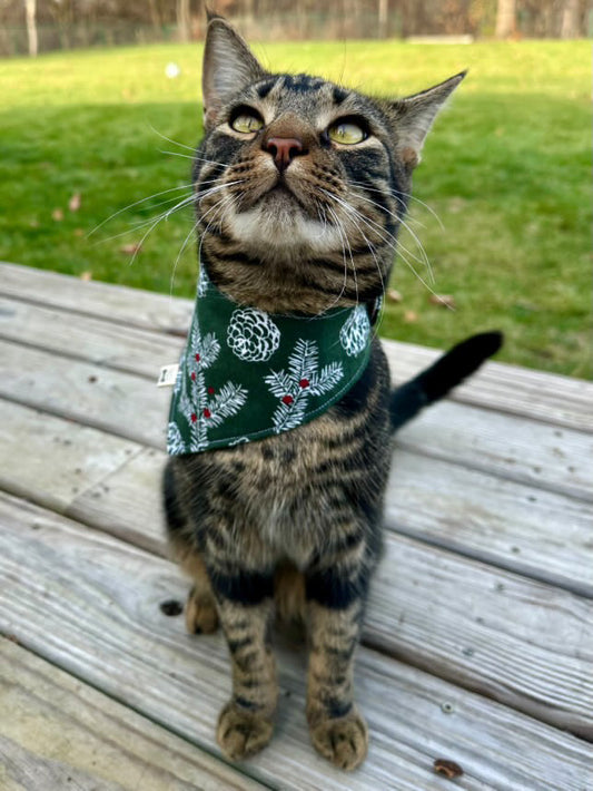 Snap Bandanna | Pattern Collection | Flannel Fabric