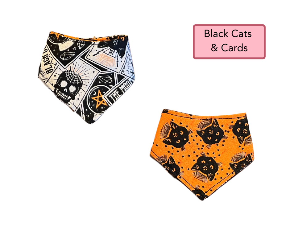 2XS Snap Bandanna | Ready Made Wear | Fall Collection