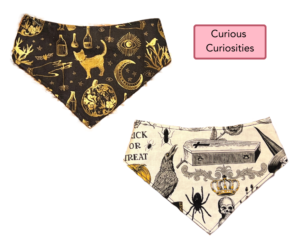 MEDIUM Snap Bandanna | Ready Made Wear | Fall Collection