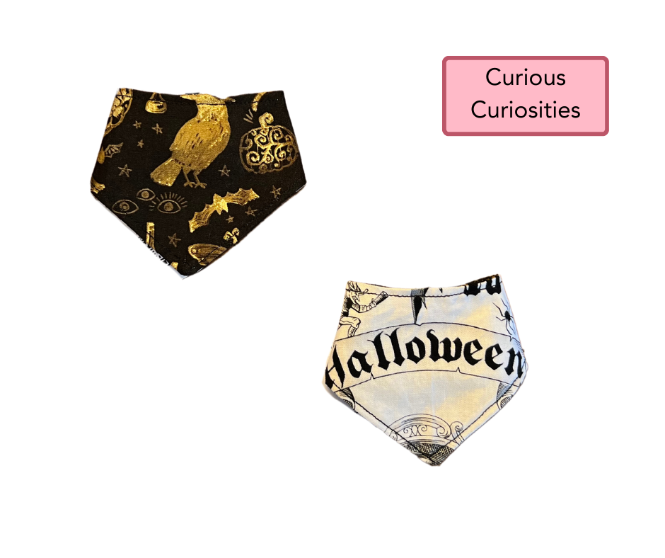 2XS Snap Bandanna | Ready Made Wear | Fall Collection