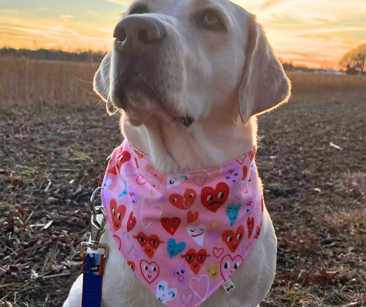 Snap Bandanna | Fun Collection | Flannel Fabric