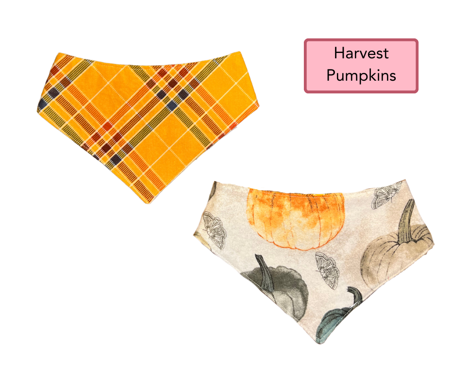 MEDIUM Snap Bandanna | Ready Made Wear | Fall Collection