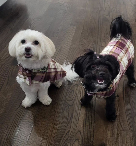 Reversible Jacket | Floral Collection | Flannel