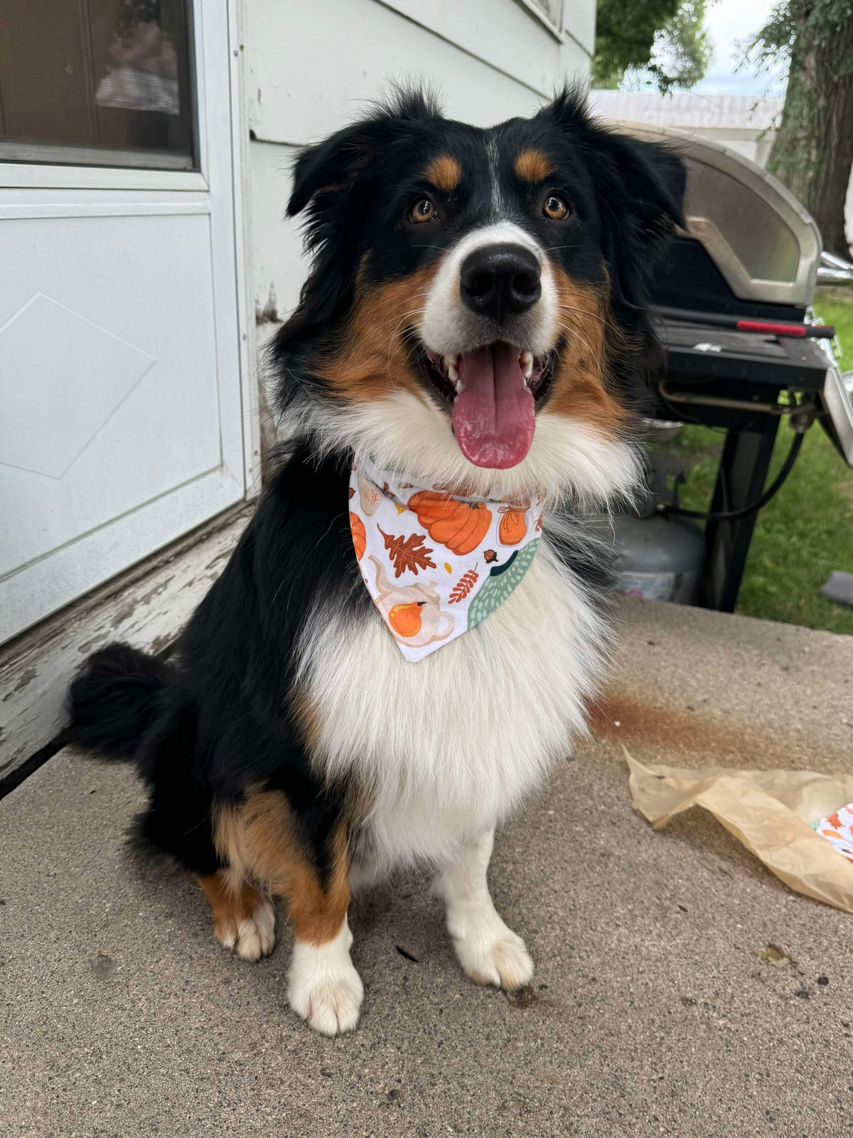Collar Slide Bandanna | Fall Collection | Flannel Fabric