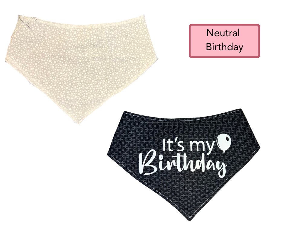 LARGE Snap Bandanna | Ready Made Wear | Pattern Collection