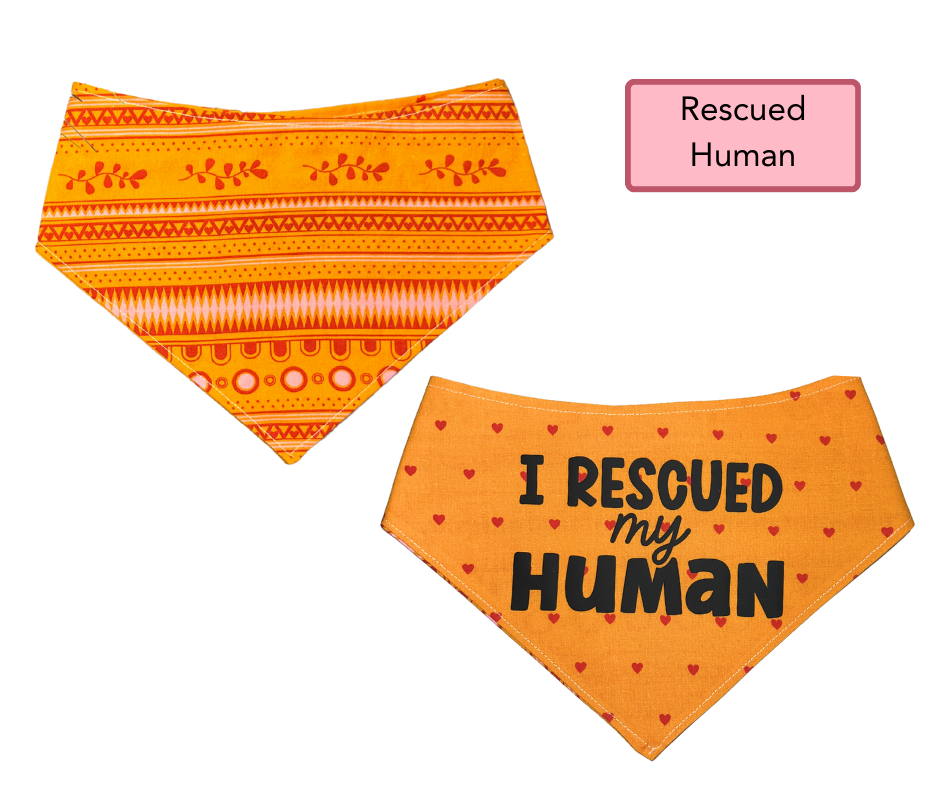 LARGE Snap Bandanna | Ready Made Wear | Pattern Collection