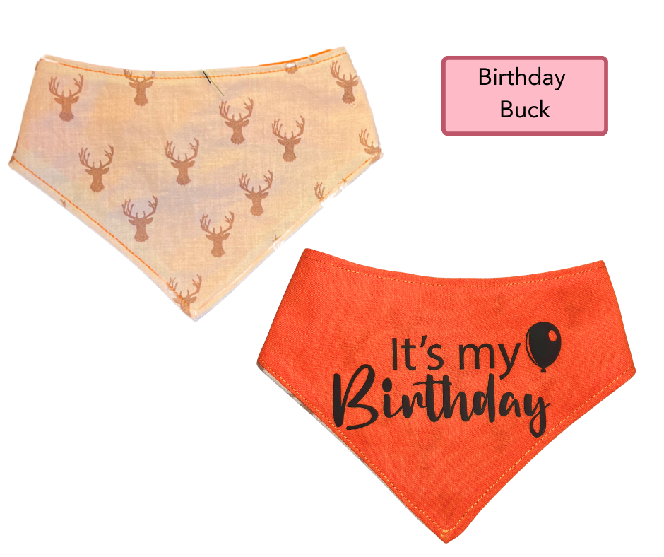 SMALL Snap Bandanna | Ready Made Wear | Fun Collection
