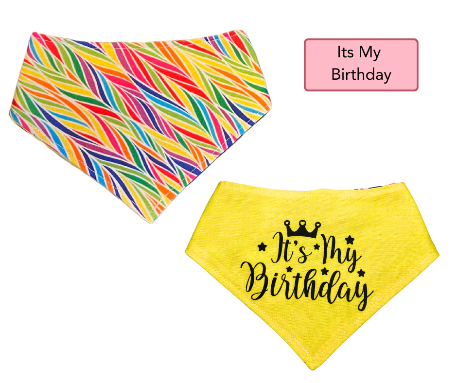 SMALL Snap Bandanna | Ready Made Wear | Fun Collection