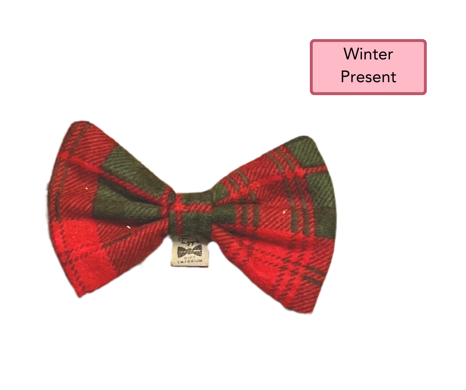 Ready Made | Bow Tie | Small